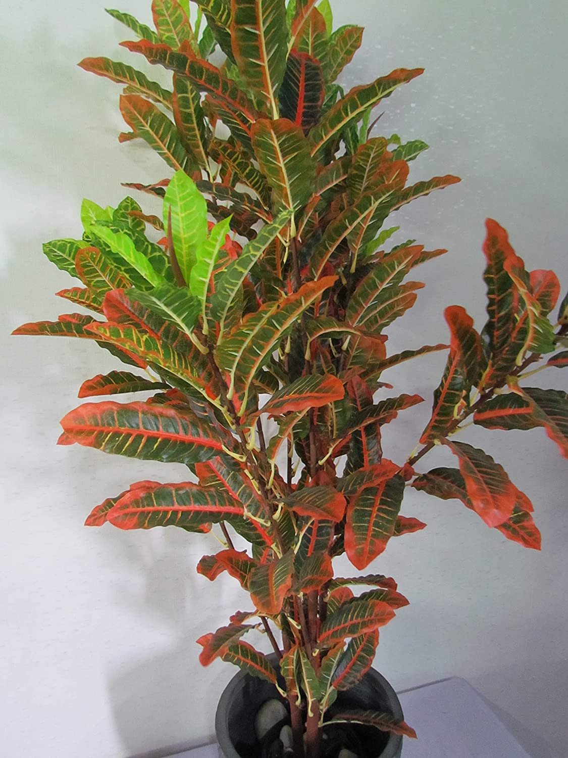 Garden Art Beautiful Artificial Plastic Multicolour Croton Plant